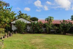 Jardin de l'établissement Hostal y Cabañas Aorangi