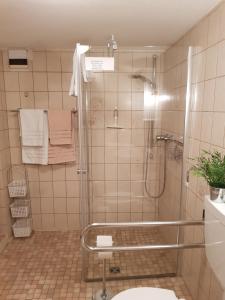 ein Badezimmer mit Dusche und Toilette in der Unterkunft Ferienwohnung Itzgrundruhe in Untermerzbach + 37 Fotos