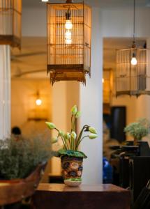un vaso con una pianta su un tavolo con luci di Purple Hue Central Hub a Hue