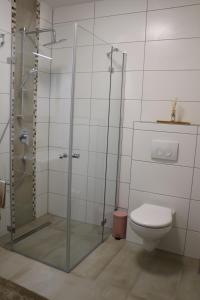 a bathroom with a shower and a toilet at Stadl-Ferienwohnung in Sankt Georgen am Längsee