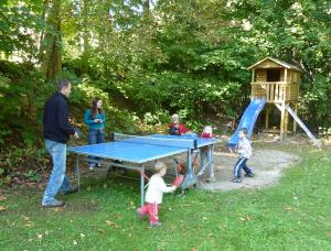a group of people standing around a ping pong table at Harzer Feriengarten 4 Sterne in Bad Suderode