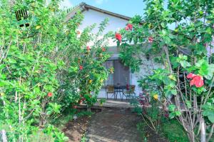 Jardin de l'établissement Hostal y Cabañas Aorangi