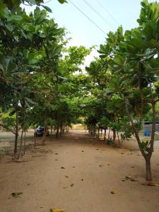 Gallery image of Under Water Safaris and Resort in Trincomalee