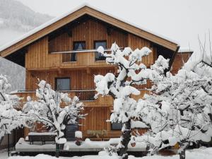Apartment Rauch during the winter