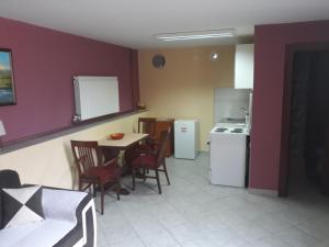 a kitchen with a table and chairs and a refrigerator at Apartments Delić in Nikšić