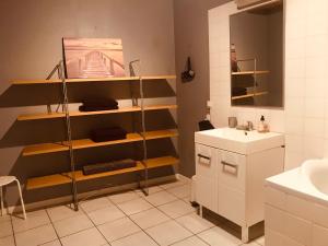 サン・レミ・ド・プロヴァンスにあるM&S - Apartment in Saint Rémy de Provenceのバスルーム(シンク、鏡付きの棚付)