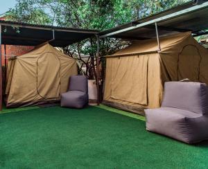 Chameleon Backpackers & Guesthouse في ويندهوك: كرسيين وخيمة على سجادة خضراء