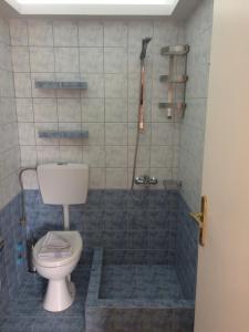a bathroom with a toilet and a shower at Aegean Villas in Potos