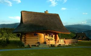 a small log cabin with a thatched roof at Osada Beskidzka in Zawoja