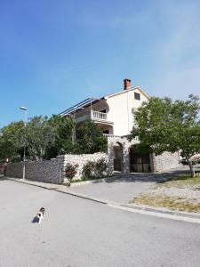 a dog standing in the street in front of a house at Sobe Apartma Galic in Novi Vinodolski