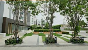 a group of trees in front of a building at Plum Phahol89, Prachathipat in Ban Talat Rangsit