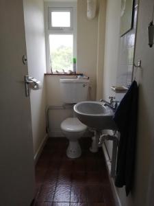 a bathroom with a toilet and a sink and a window at The Black Sheep in Glengarriff