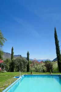 a large blue swimming pool in a yard at Hotel Burgleitenhof in Lana