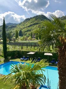 Ein Blick auf den Pool von der Unterkunft Hotel Burgleitenhof oder aus der Nähe