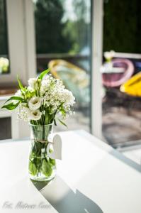 Πισίνα στο ή κοντά στο Karmuszka Family House z jacuzzie, sauną i siłownią na wyłączność