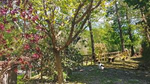 Giardino di Verdeblu Country Hotel
