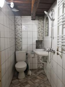 un bagno con un water e un lavandino di Villa Girgina a Bukovets