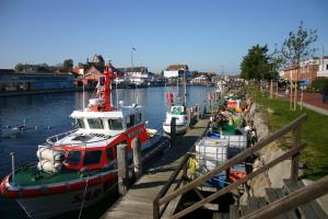 eine Gruppe von Booten wird an einem Yachthafen angedockt in der Unterkunft Kappen Plambeck in Heiligenhafen