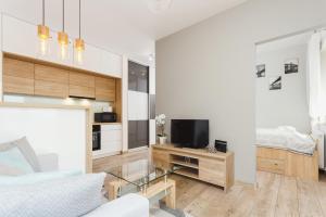 Televízia a/alebo spoločenská miestnosť v ubytovaní Tauron Arena Elegant Apartment Dąbska by Noclegi Renters