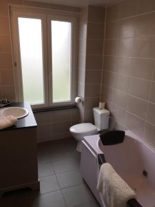 La salle de bains est pourvue d'une baignoire, de toilettes et d'un lavabo. dans l'établissement Hotel Bouillon, à Bouillon
