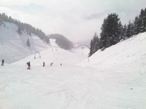 Chalet Grazia v zimě