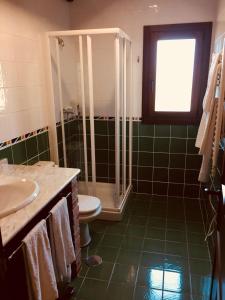 a bathroom with a shower and a toilet and a sink at APARTAMENTOS RURALES AZABACHE in Villaviciosa