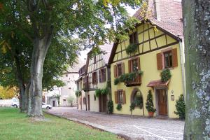 Foto de la galería de La Maison Jaune en Ammerschwihr