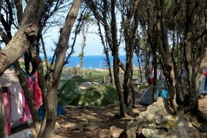 a group of tents in the shade of trees at Camping Isulottu in Morsiglia