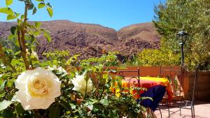 a table with a white rose in a garden with mountains at Auberge Kasbah Ait Marghad in Tamellalt