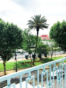 Zahrada ubytování Entre Patios La Victoria