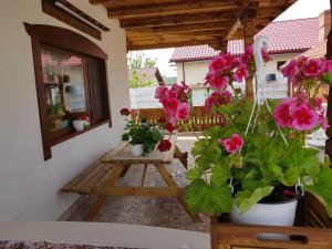 a patio with flowers in pots and a window at Verada Tour Guest House in Somova
