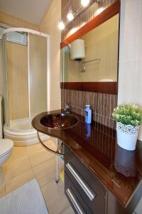 a bathroom with a sink and a shower and a toilet at Globe Apartament 2 in Zadar +32 photos