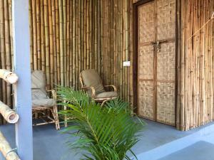 due sedie e una pianta in una stanza con bambù di Samsara Garden Resort a Morjim