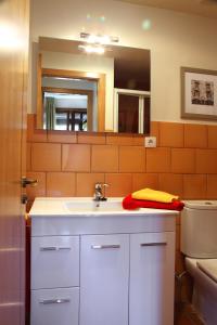 a bathroom with a sink and a mirror at Apartamentos Casa Molinero in Buera