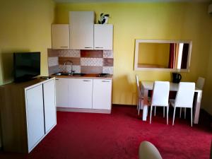 Kuchyň nebo kuchyňský kout v ubytování Apartmani Simon