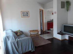 a living room with a couch and a tv at Apartmani Kristanic in Karlovac