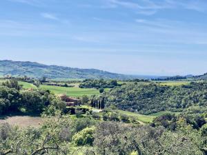 uma vista para um campo com árvores e uma casa em Farmhouse Gello by ToscanaTour em Montecatini Val di Cecina