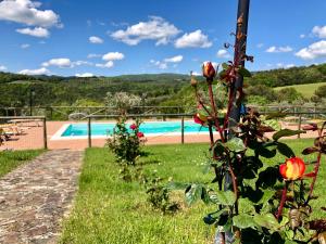 um jardim com piscina ao fundo em Farmhouse Gello by ToscanaTour em Montecatini Val di Cecina