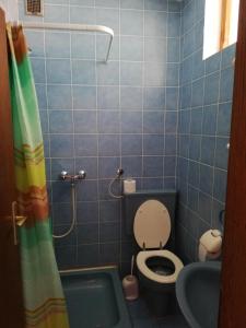 a blue tiled bathroom with a toilet and a shower at Sobe Apartma Galic in Novi Vinodolski +46 photos