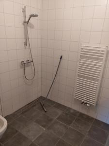 a bathroom with a shower and a toilet at Appartement boerderij met paarden in Oost-Souburg