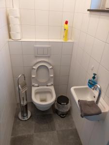 a small bathroom with a toilet and a sink at Appartement boerderij met paarden in Oost-Souburg