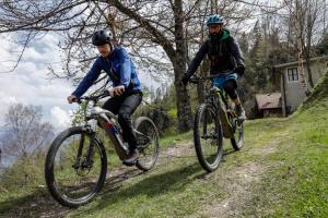 Jazda na bicykli v okolí ubytovania Albergo Aurora