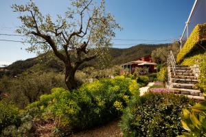 a garden with a staircase and flowers and a house at B&B Il Parco in Monterosso al Mare