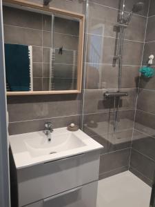 La salle de bains est pourvue d'un lavabo et d'une douche. dans l'établissement Appartement Sainte-Maxime, plage de la Nartelle, à Sainte-Maxime