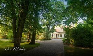 a driveway leading to a house with trees at Dwór w Kiełczówce in Moszczenica