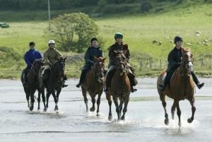 um grupo de pessoas andando a cavalo através da água em Sligo Southern Hotel & Leisure Centre em Sligo