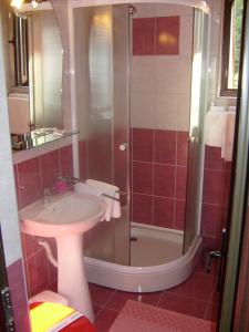 een badkamer met een wastafel en een douche bij Pensiunea Speranta in Sovata