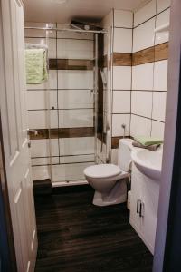 a bathroom with a toilet and a sink and a shower at Pension Leprich in Bad Goisern