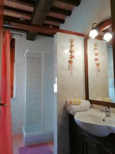 een badkamer met een wastafel en een douche bij Finestra sulla val d'Orcia in San Quirico dʼOrcia