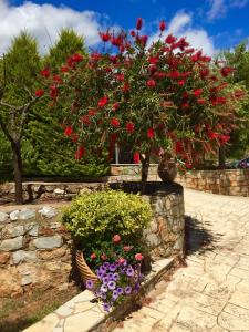 a garden with red flowers in a stone wall at Mouses Apartments-Kardamyli in Kardamili